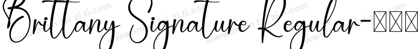 Brittany Signature Regular字体转换
